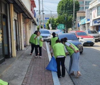 지역사회 마을환경개선활동 실시 이미지